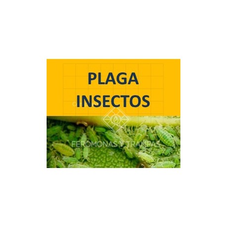 Insectec, 5L: Protección Ecológica para Cultivos con Oxígeno Activo