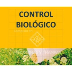 Hippodamia 250 adultos - Mariquitas contra pulgón