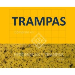 ECONEX SOPORTE CROSSTRAP ®