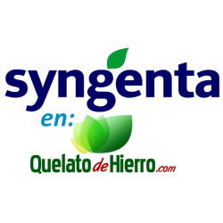 quelato de hierro 5kg