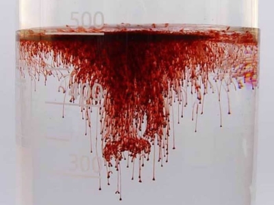 Quelato de hierro: cómo combatir la clorosis férrica y fortalecer tus cultivos