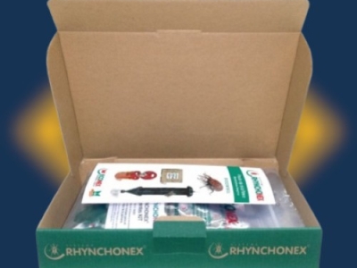 Trampa Rhynchonex: control del picudo rojo en palmeras